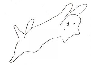 neko2009071502