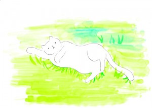nekokku20140311