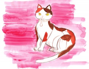 nekokku20140702
